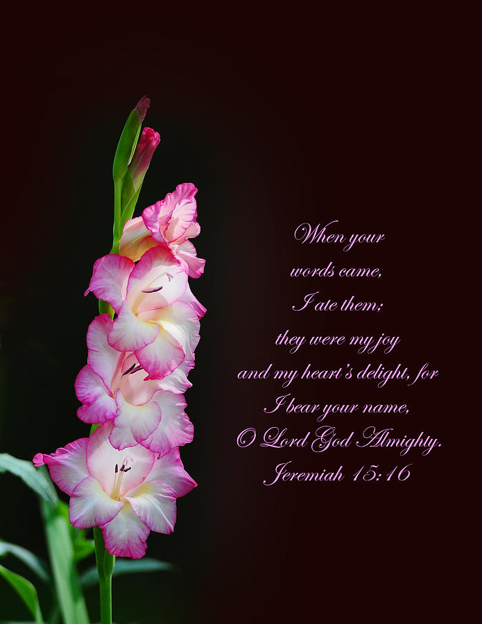 Gladiola Jeremiah 15 16 Photograph by Randall Branham