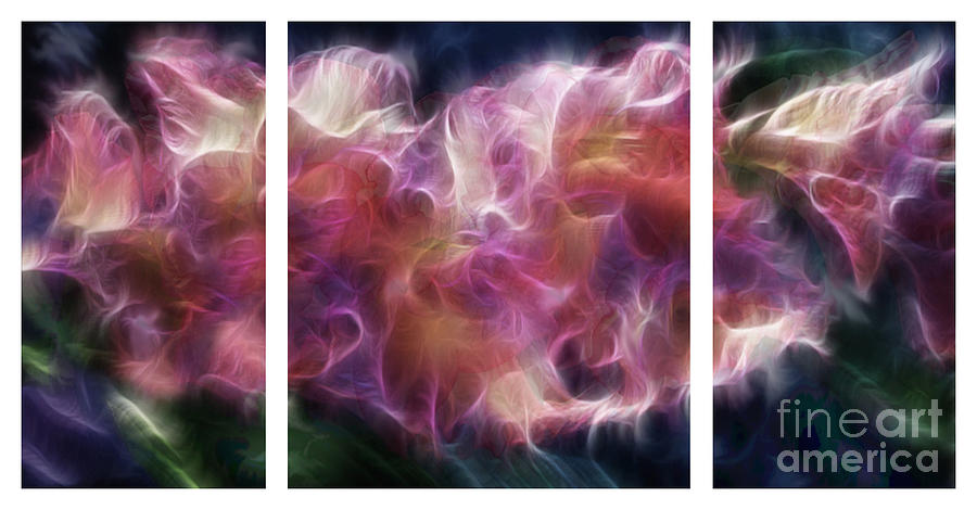 Space Digital Art - Gladiola Nebula Triptych by Peter Piatt