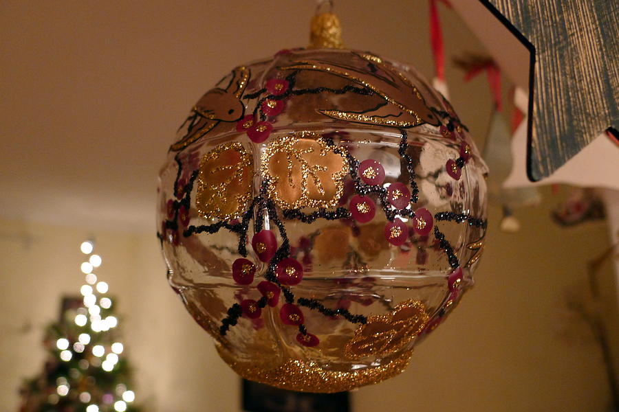 Glass Bauble Photograph by Richard Reeve
