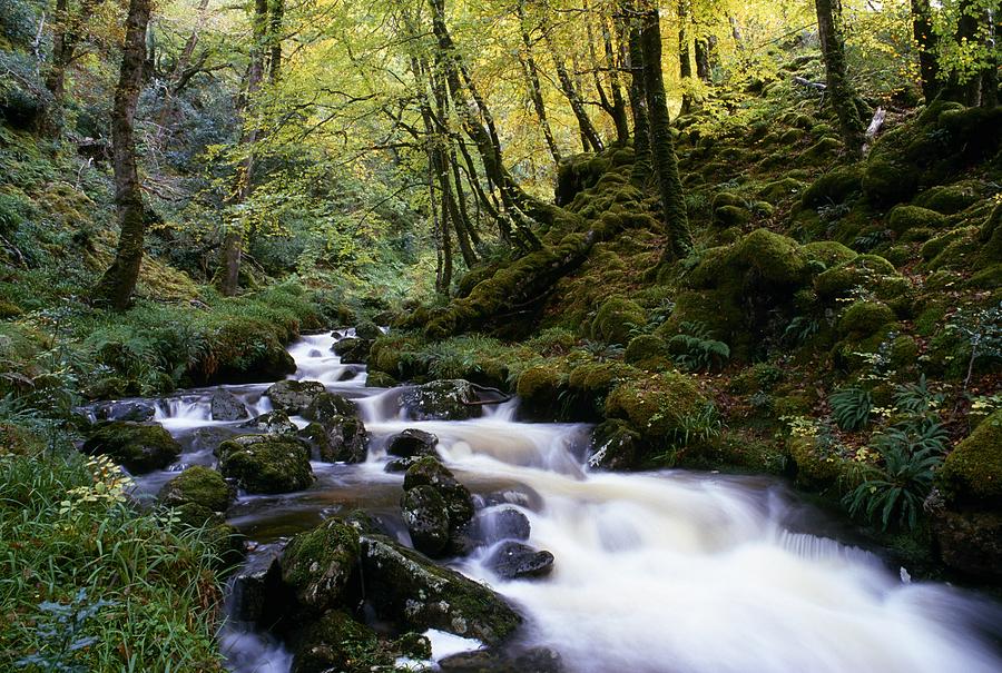 Glenveagh National Park, County Photograph by Gareth McCormack