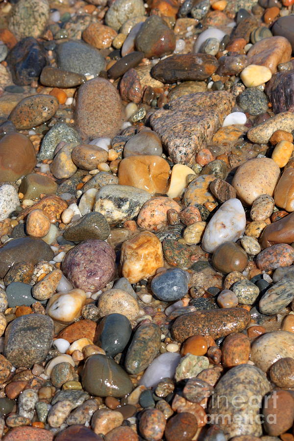 Glistening Rocks on the Beach Photograph by Carol Groenen