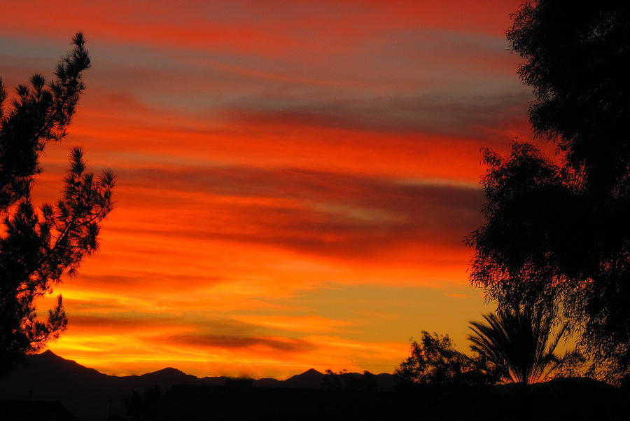Glorious Arizona Sunset Photograph by Lessandra Grimley