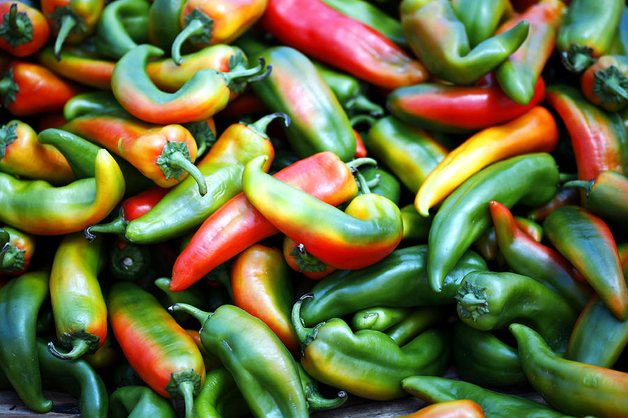 Glorious Peppers Photograph by Marilyn Hunt
