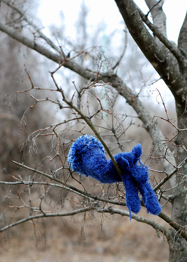 Tree Photograph - Glove Lost by Lisa Phillips