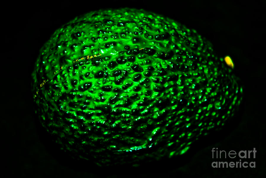 Glowing Avocado Photograph by Yurix Sardinelly