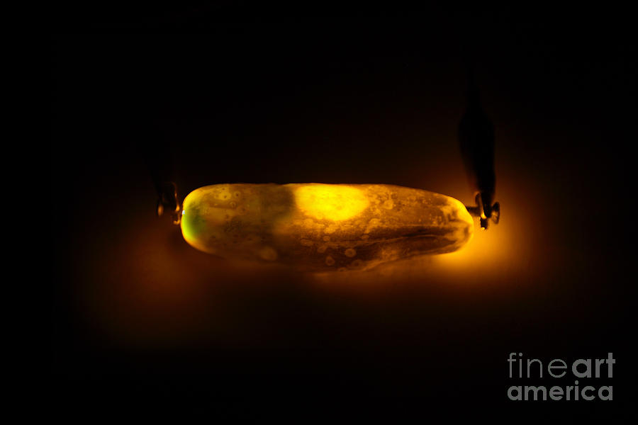 Glowing Electric Pickle 2 Of 2 Photograph by Ted Kinsman