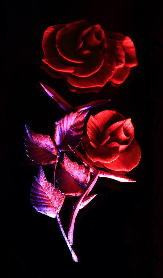Glowing Glass Rose Photograph by Shane Bechler
