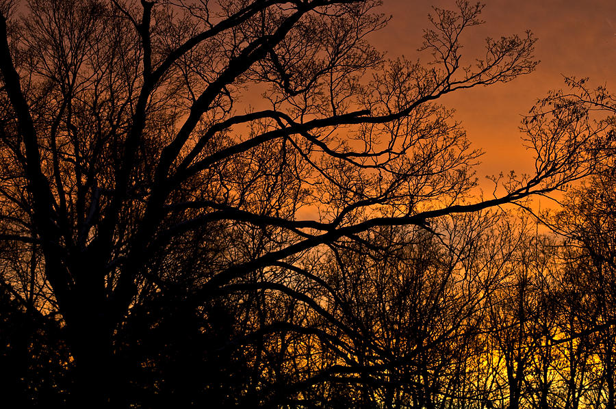 Glowing Michigan sunset Photograph by LeeAnn McLaneGoetz McLaneGoetzStudioLLCcom