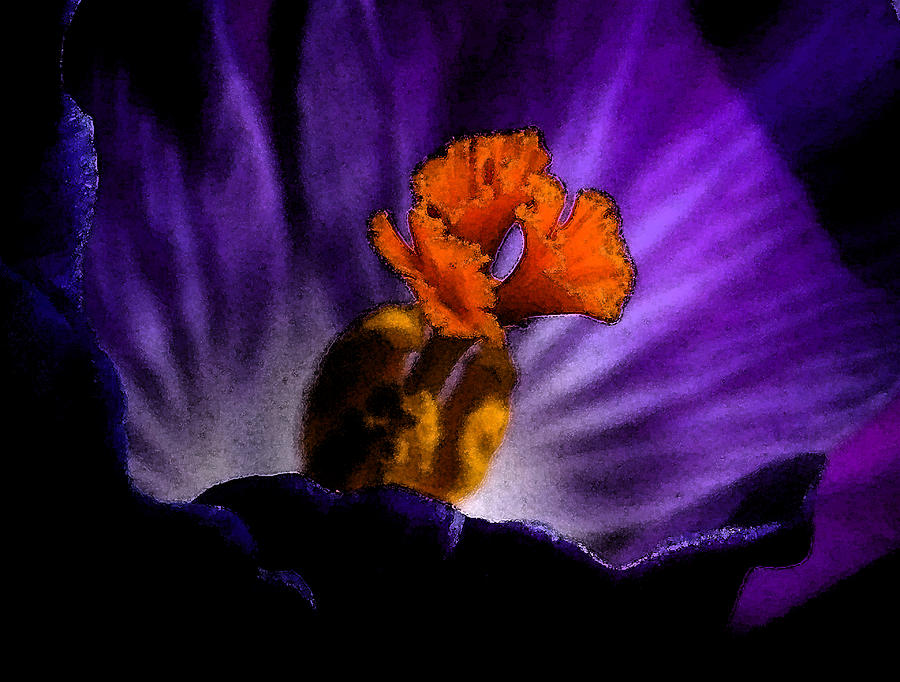 Glowing Purple Photograph by Karen Harrison Brown