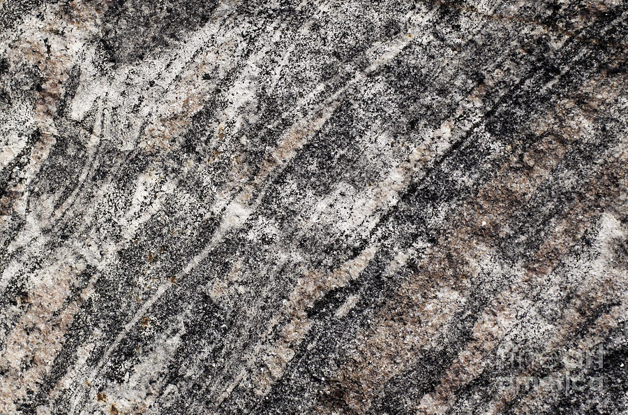 Gneiss rock pattern Photograph by Les Palenik