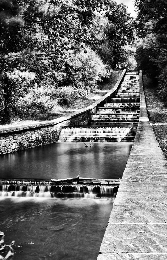 Gnoll Country Park 4 Mono Photograph by Steve Purnell