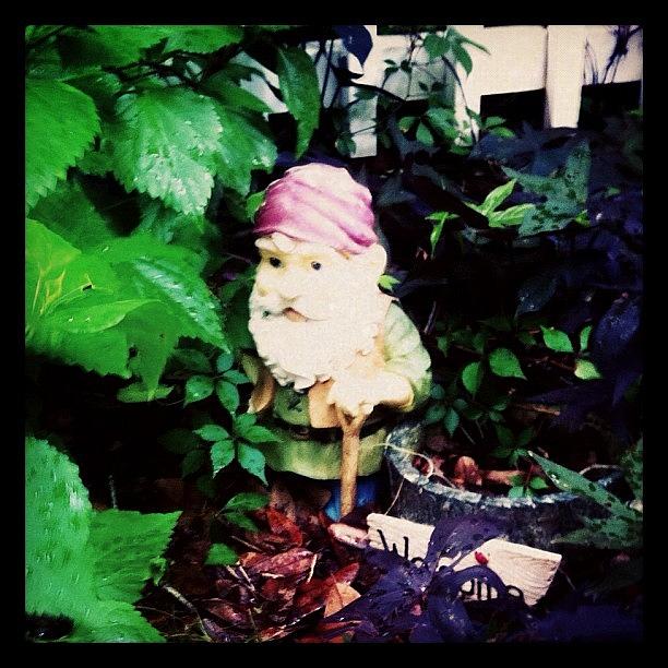 Garden Photograph - Gnomes Are Alive And Well And Living In by Michelle Huey