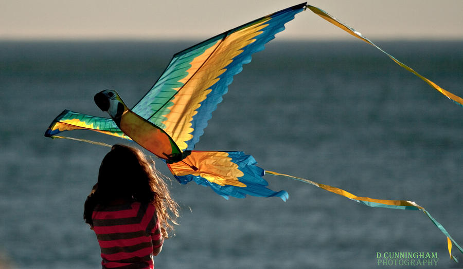 Go Fly A Kite Photograph by Dorothy Cunningham