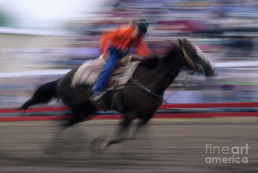 Sports Photograph - Rodeo Go For Broke by Bob Christopher