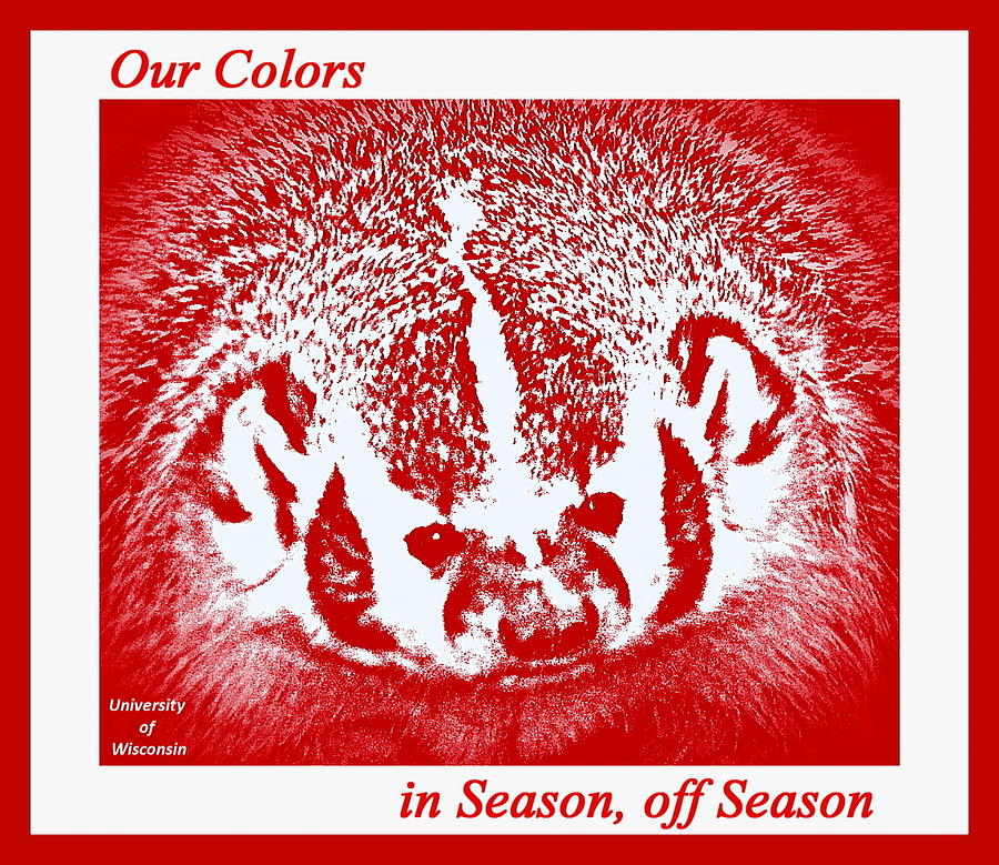 Go Go Badgers by Zafer Gurel Go Go Badgers by Zafer Gurel