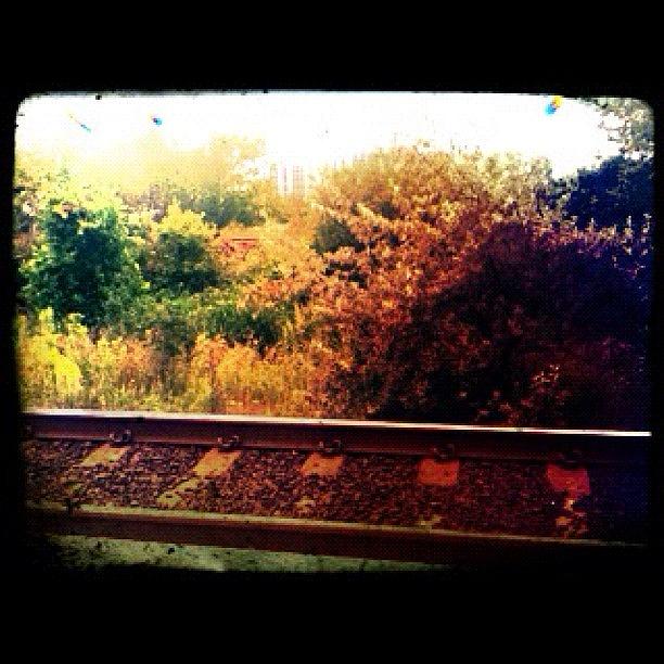Go Train Tracks Photograph by Grace Rowed