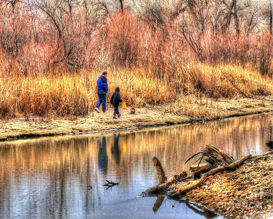 Walk Photograph - Going for a Walk HDR by Morgan Wright