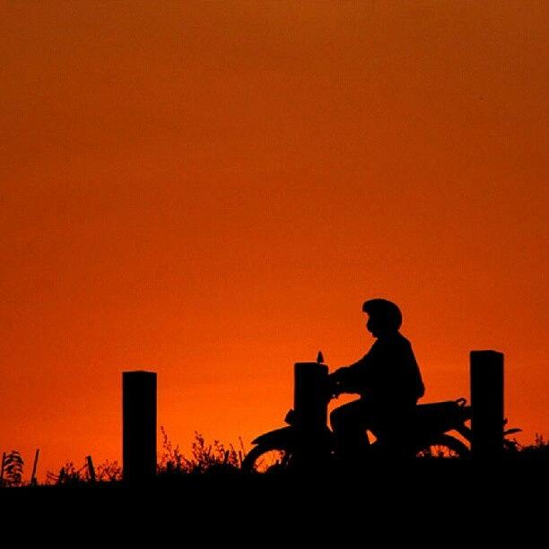 Nature Photograph - going Home #silhouette #red #sunset by Bimo Pradityo