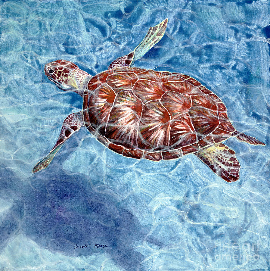 Turtle Painting - Going My Way by Carole R Moore