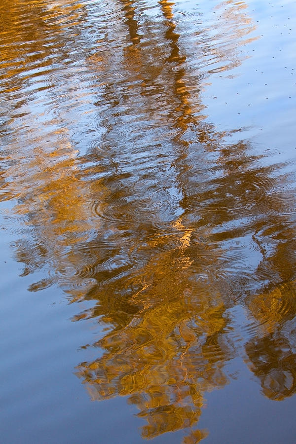Gold and Blue Reflections Photograph by Michelle Wrighton