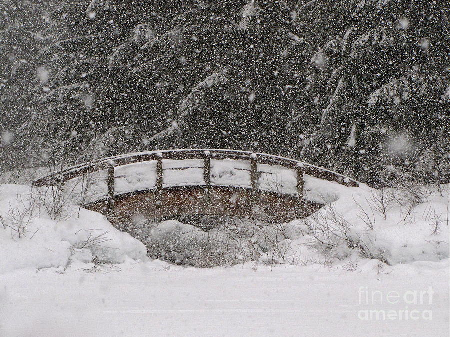Gold Creek Bridge in Snowstorm Photograph by Sean Griffin