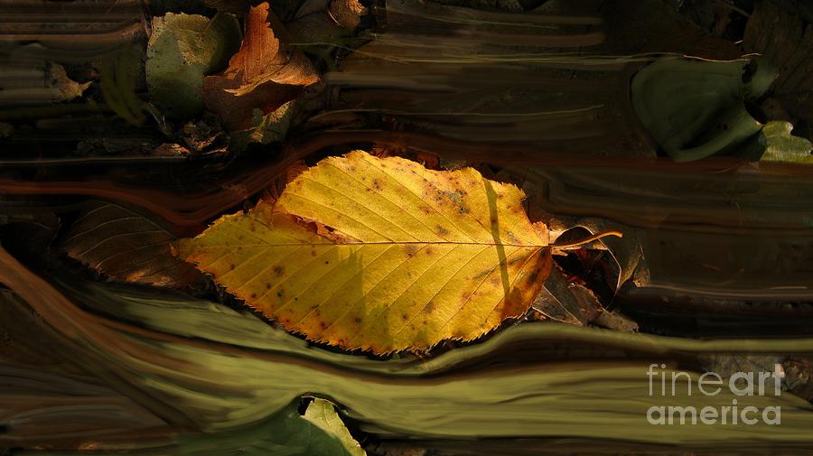 Gold Leaf Photograph by Vilas Malankar