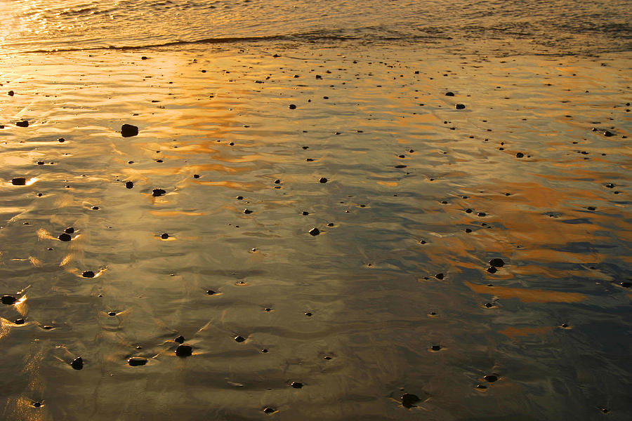 Seascape Photograph - Gold by Mel Felix