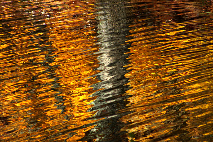 Gold reflection Photograph by Emanuel Tanjala