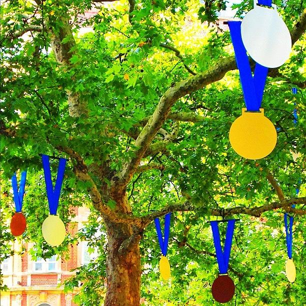 London Photograph - Gold, Silver, Bronze : Medal Trees by Neil Andrews