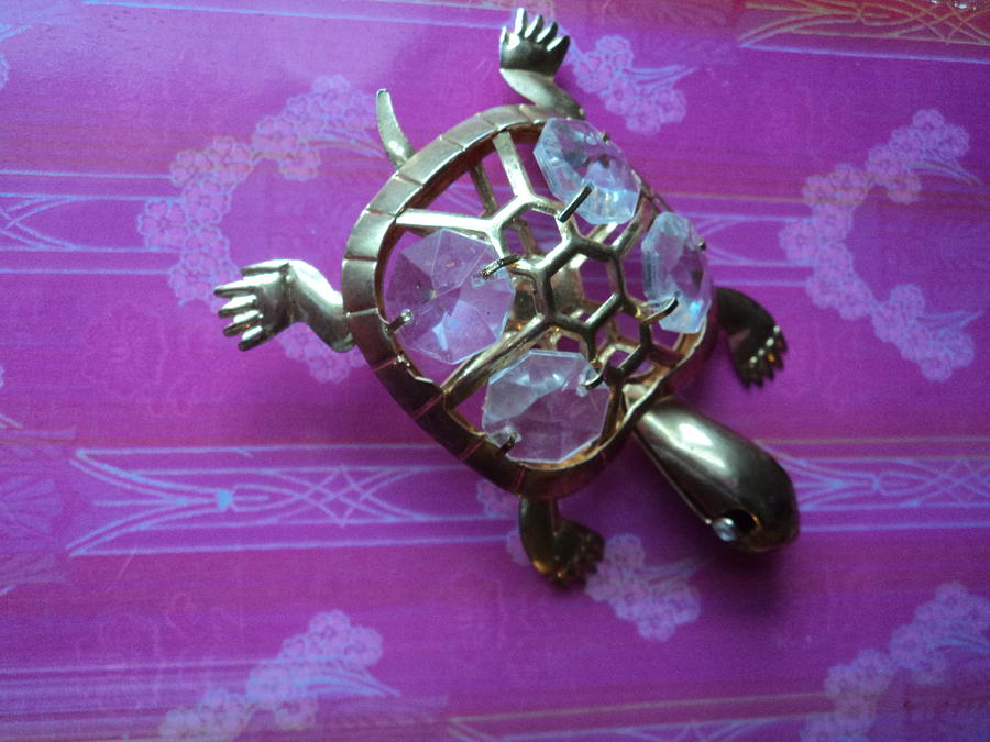 Turtle Photograph - Gold Turtle Where are You Going  by Anne-Elizabeth Whiteway