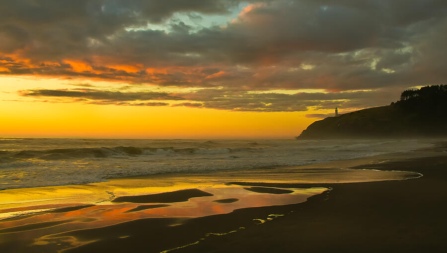 Golden Beach Photograph by Robert Bales