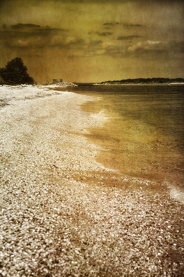 Golden Beach Photograph by Roni Chastain