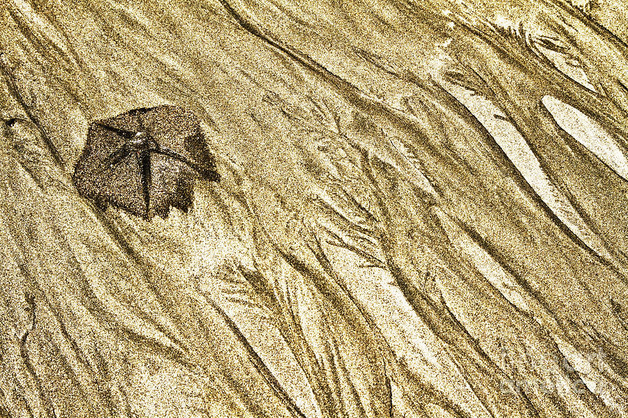 Golden Beach Structurs Series Photograph by Heiko Koehrer-Wagner