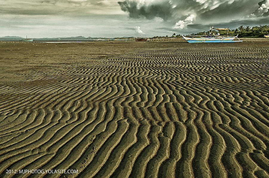Beach Photograph - Golden Combed Beach by Max Ereno