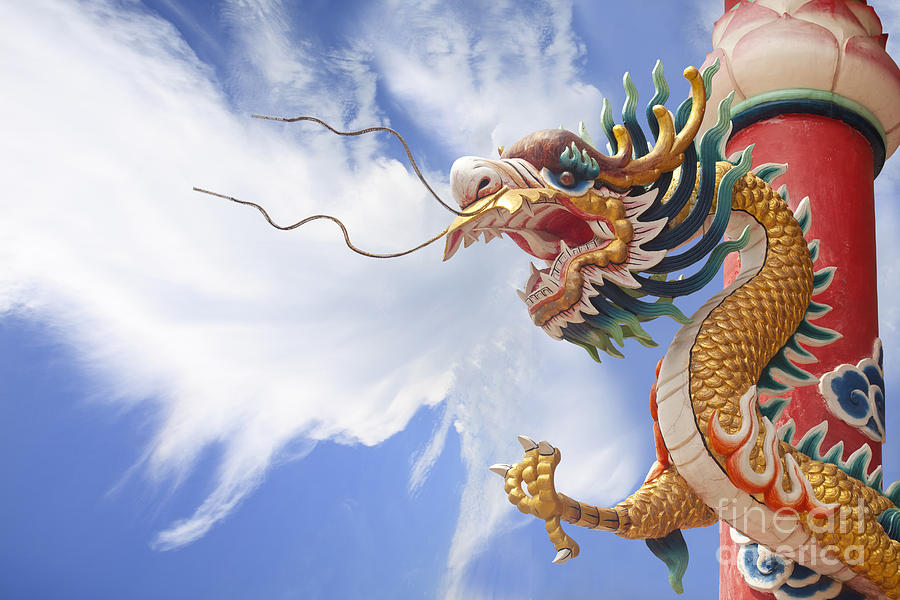 Golden dragon with cloud background Photograph by Anek Suwannaphoom