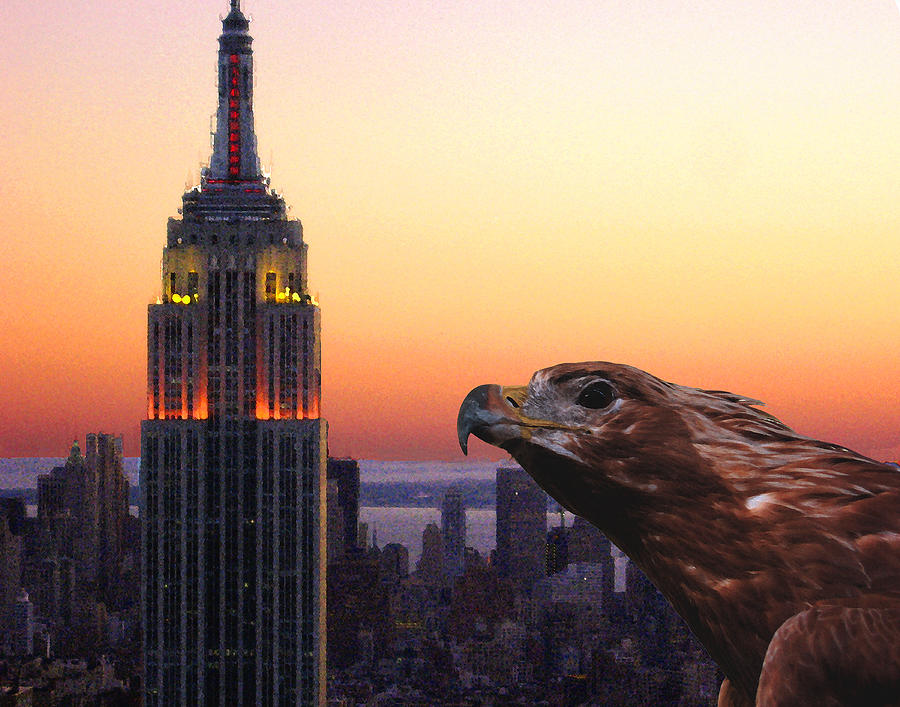 Golden Eagle Over The City Digital Art by Timothy Bulone