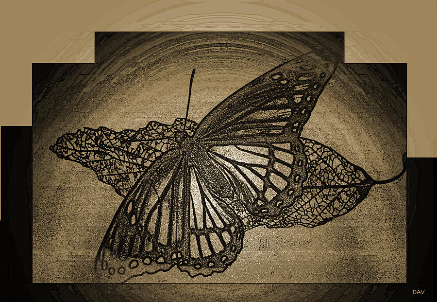 Golden Etch Butterfly Mixed Media by Debra Vatalaro