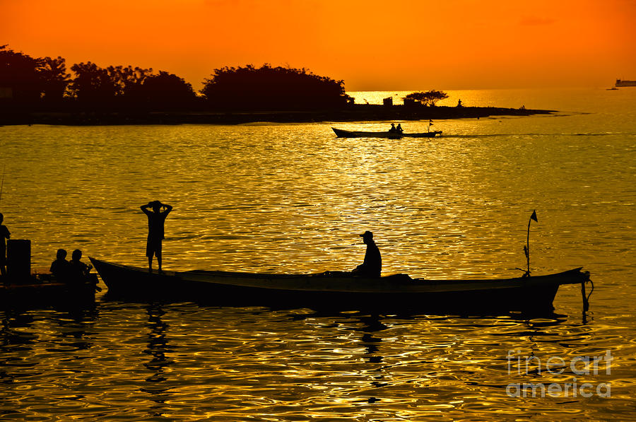 Golden Evening Photograph by Charuhas Images