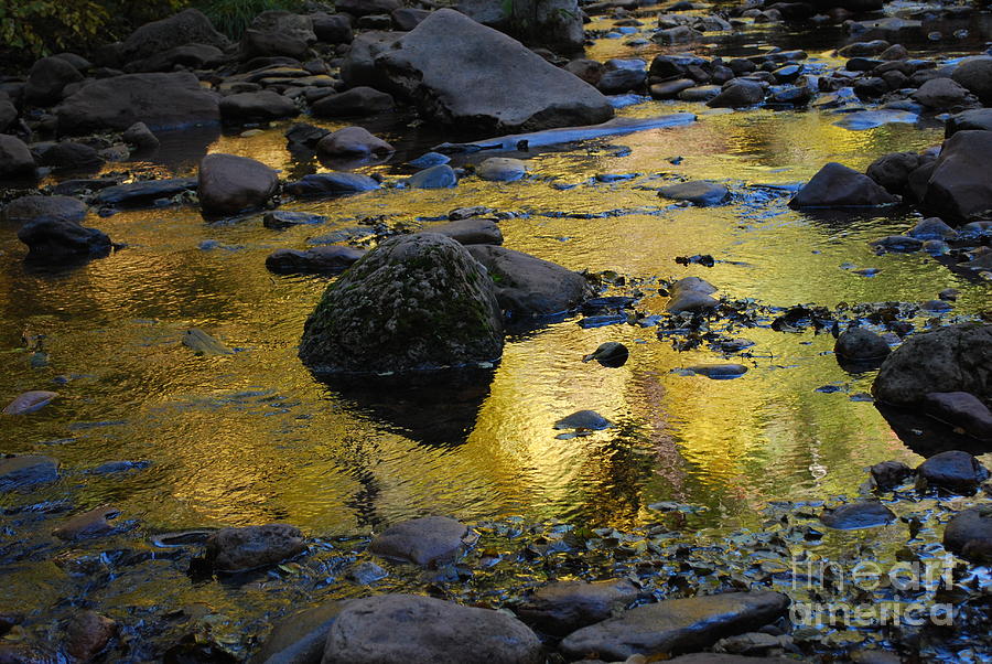 Golden Fall Reflection Photograph by Heather Kirk