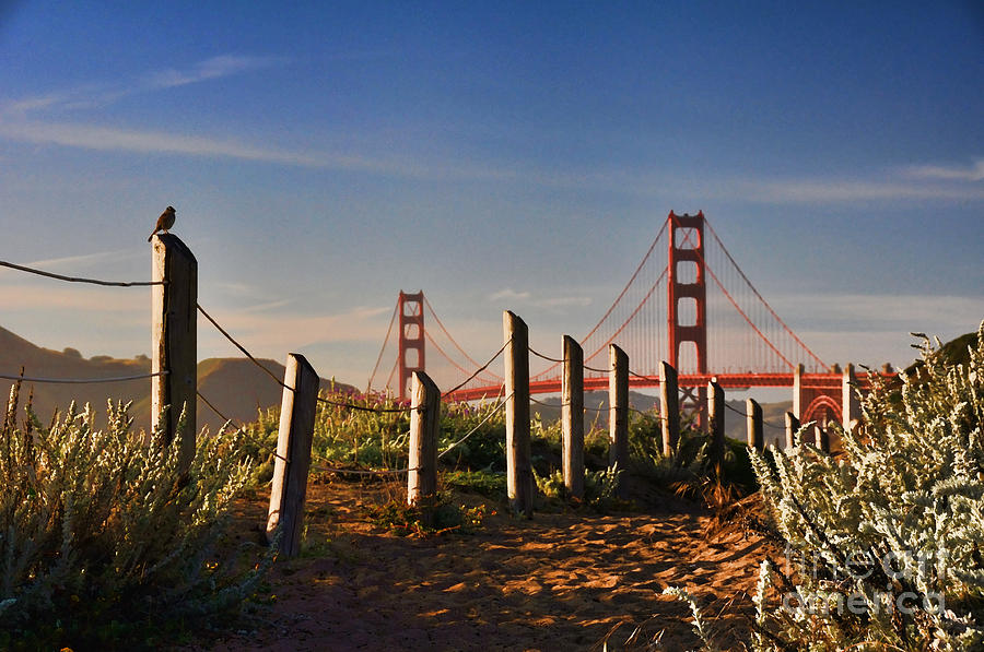 Golden Gate Bridge - 2 Photograph by Mark Madere