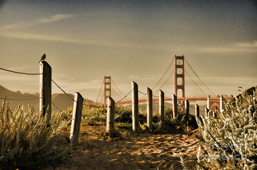 Golden Gate Bridge - 3 Photograph by Mark Madere