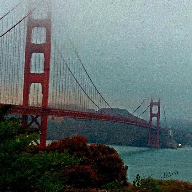 Bridge Photograph - Golden Gate Bridge An Fog by Selina P
