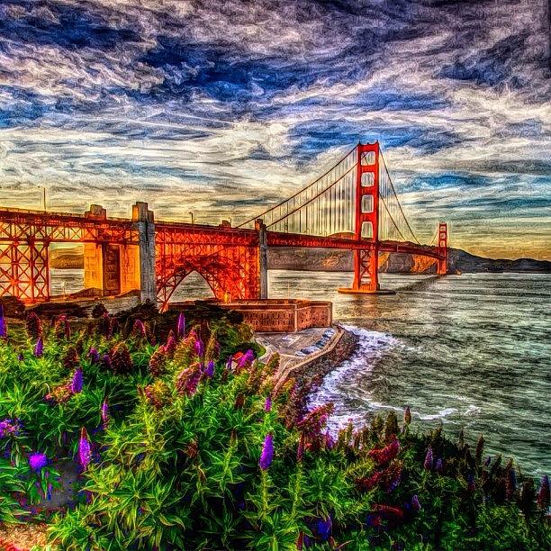 Golden Gate Bridge. San Francisco Photograph by Susan Scott 