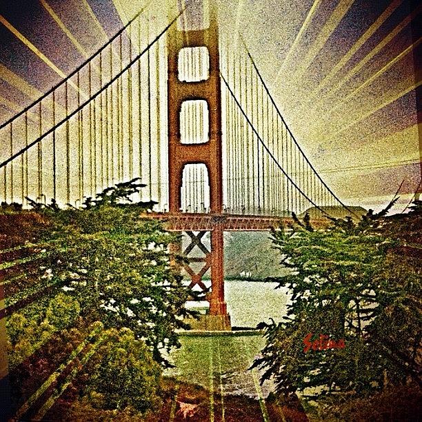 Bridge Photograph - Golden Gate Bridge by Selina P