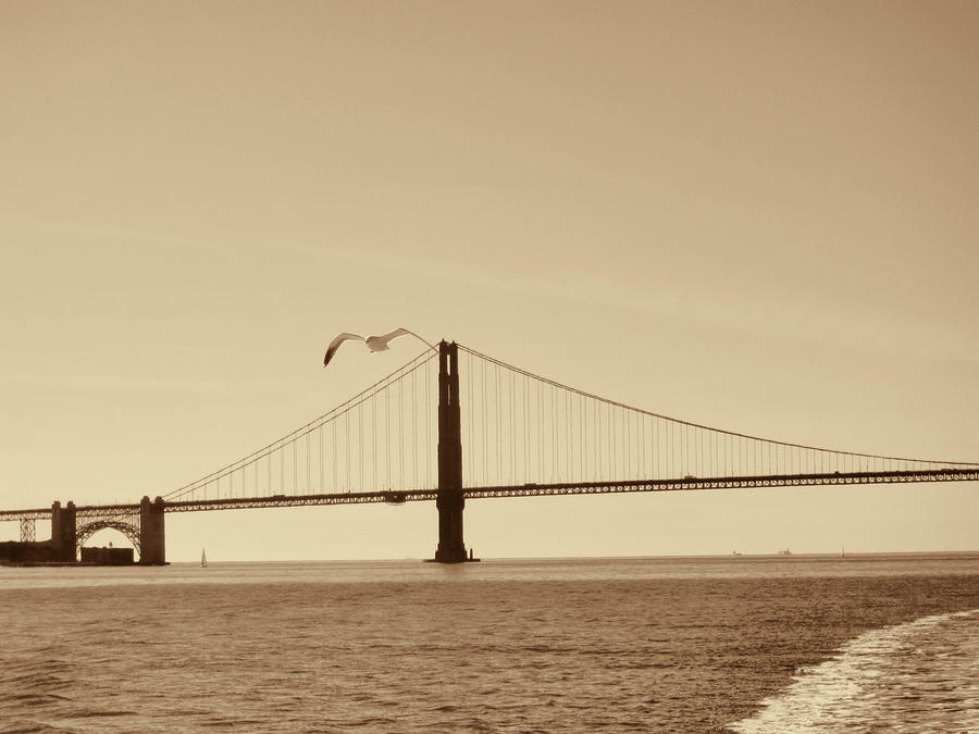 Golden Gate Bridge-Sepia Photograph by Douglas Barnard