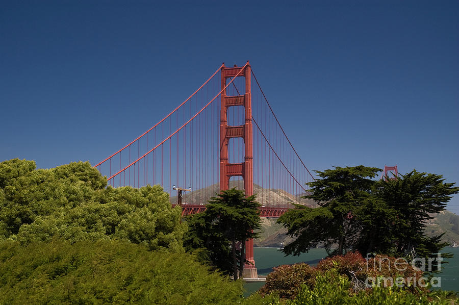 Golden Gate Bridge Towers Photograph by Tim Mulina