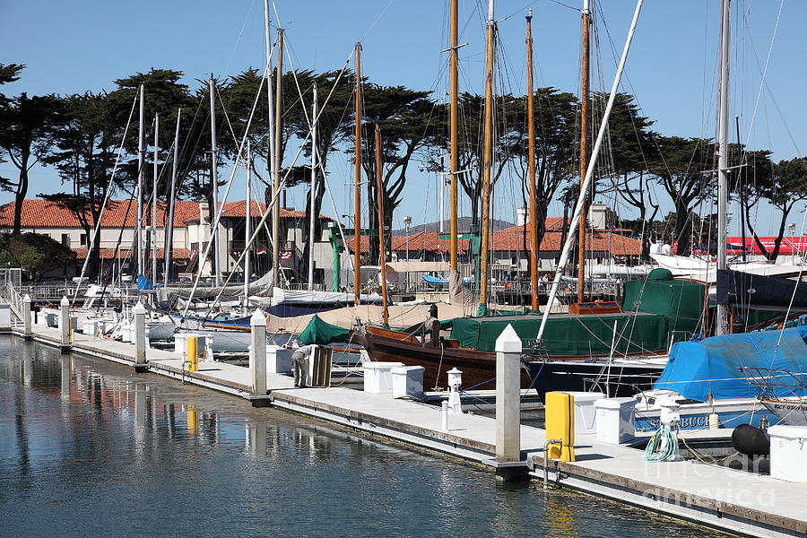 the golden gate yacht club