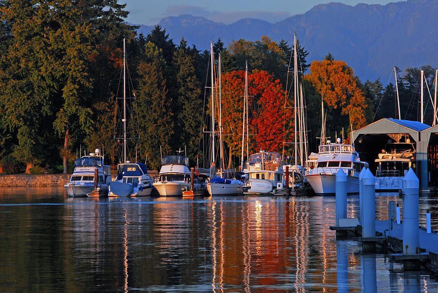Golden Hour at the Harbor Photograph by Lynn Bauer