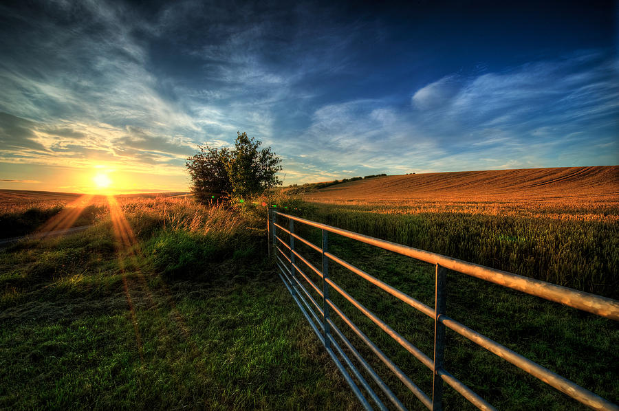 Golden Hour Photograph by Svetlana Sewell - Fine Art America