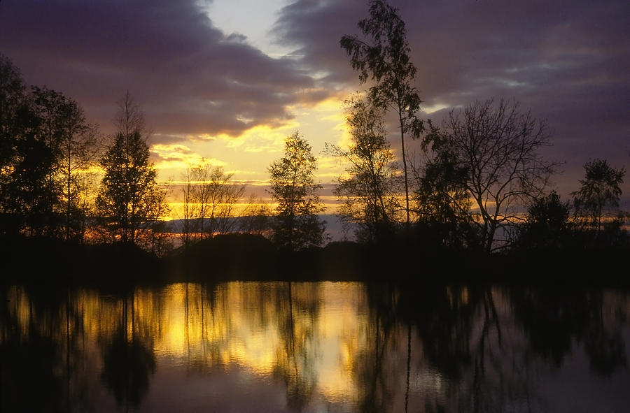 Golden landscape Photograph by Patrick Kessler - Fine Art America